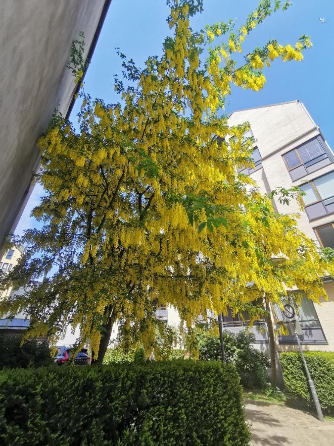 80 Square Metre Flat In The Heart Of Bergen - 2 Big Bedrooms Exteriér fotografie